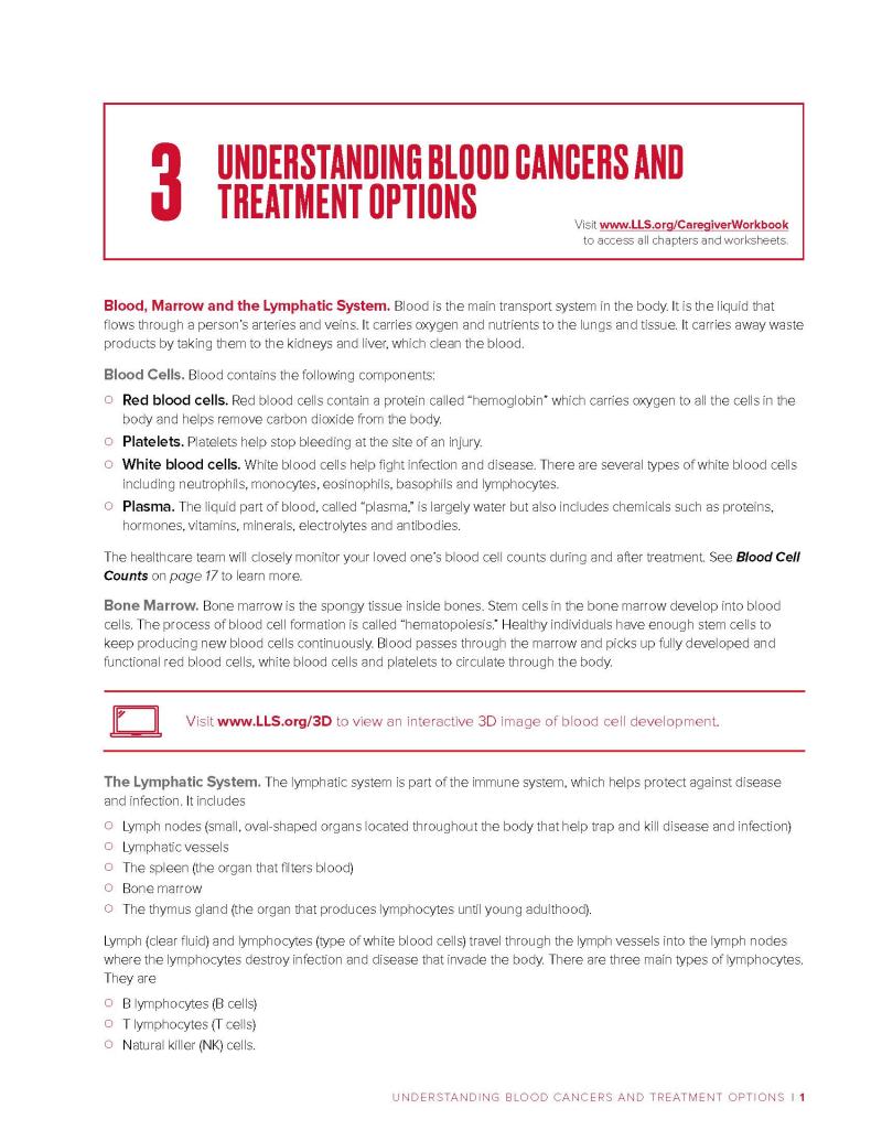 Understanding Blood Cancers And Treatment Options Leukemia And